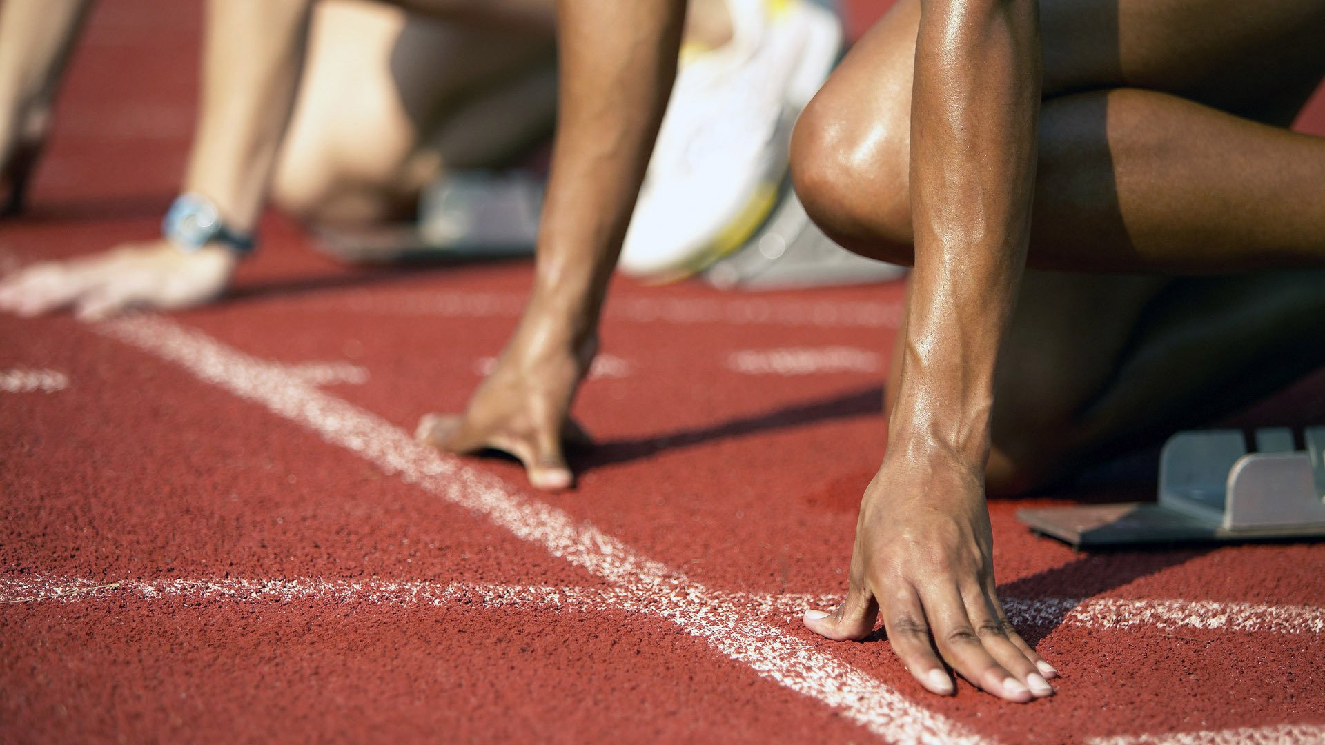 中国跳水队包揽世界杯三金 新秀老将齐闪耀