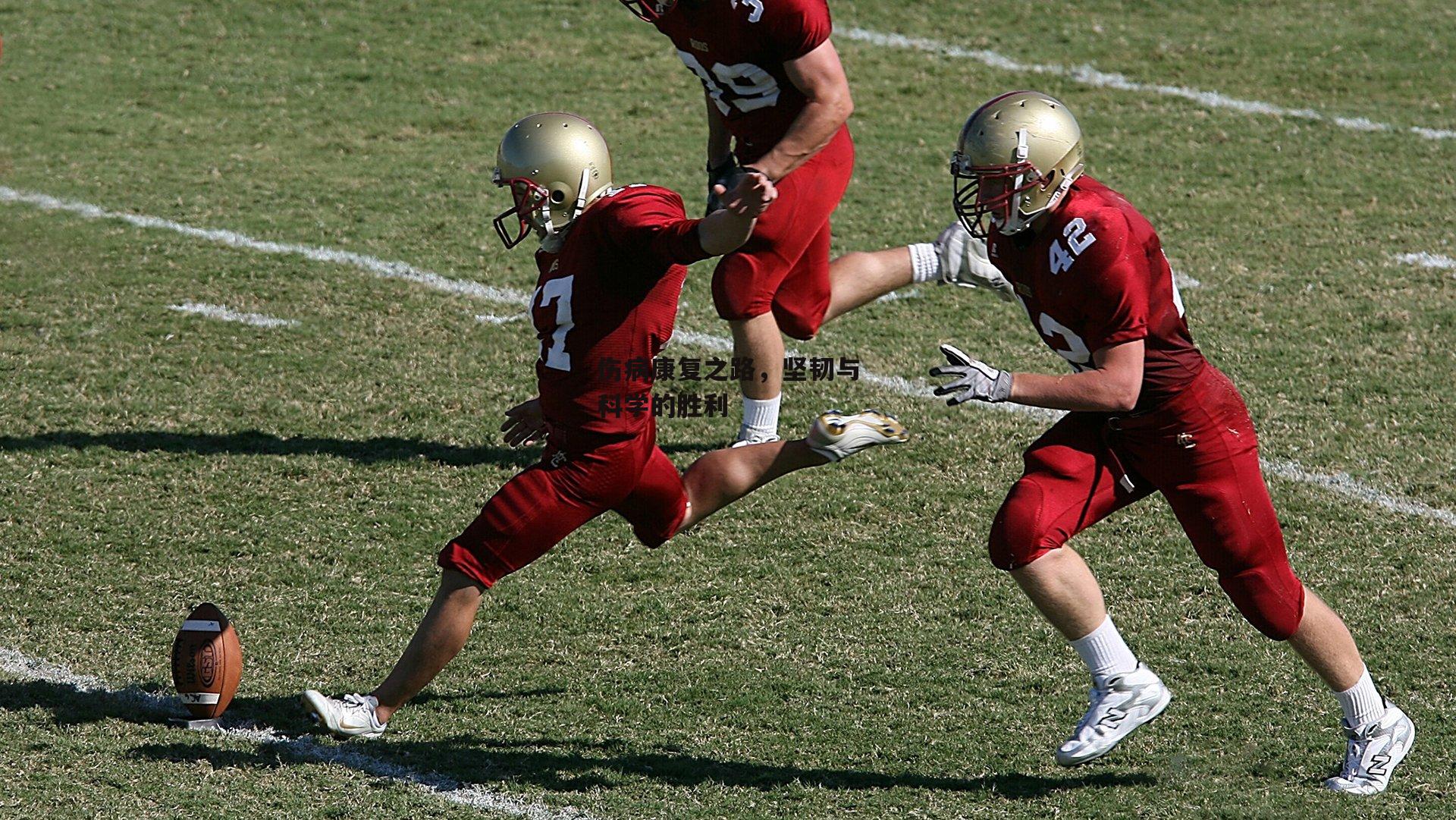 伤病康复之路，坚韧与科学的胜利